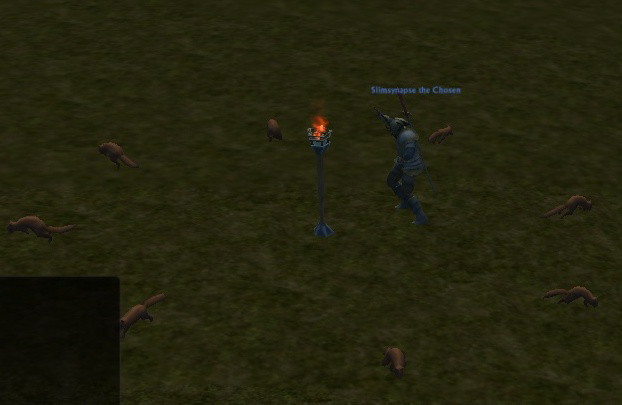 dancing w squirrels02.jpg