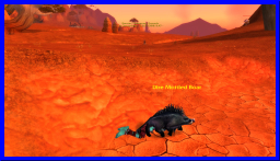 sam06.jpg
